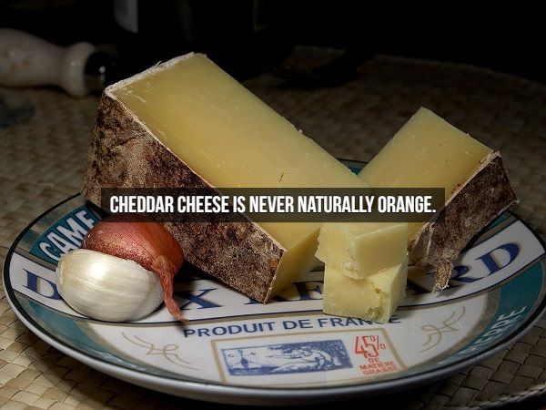 oka cheese - Cheddar Cheese Is Never Naturally Orange. Came Produit De Fran