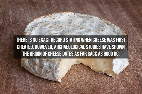 coulommiers cheese - There Is No Exact Record Stating When Cheese Was First Created, However, Archaeological Studies Have Shown The Origin Of Cheese Dates As Far Back As 6000 Bc.