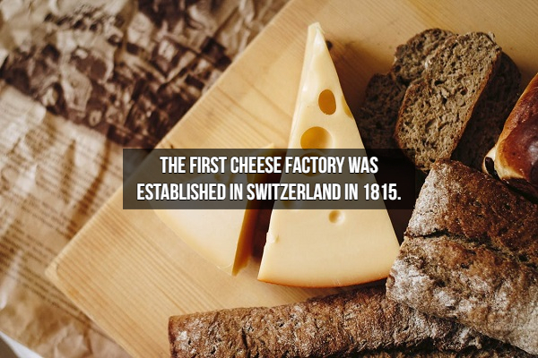 cheese pexels - The First Cheese Factory Was Established In Switzerland In 1815.