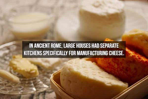 dish - In Ancient Rome, Large Houses Had Separate Kitchens Specifically For Manufacturing Cheese.