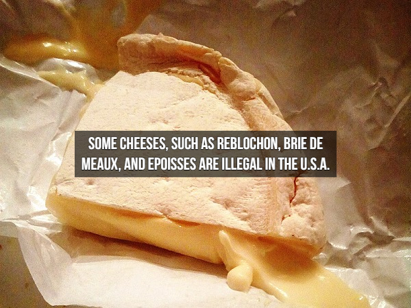 junk food - Some Cheeses, Such As Reblochon, Brie De Meaux, And Epoisses Are Illegal In The U.S.A.