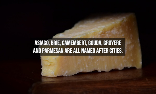 25 Cheese Facts You Need To Know To Impress Your Wine Tasting Friends