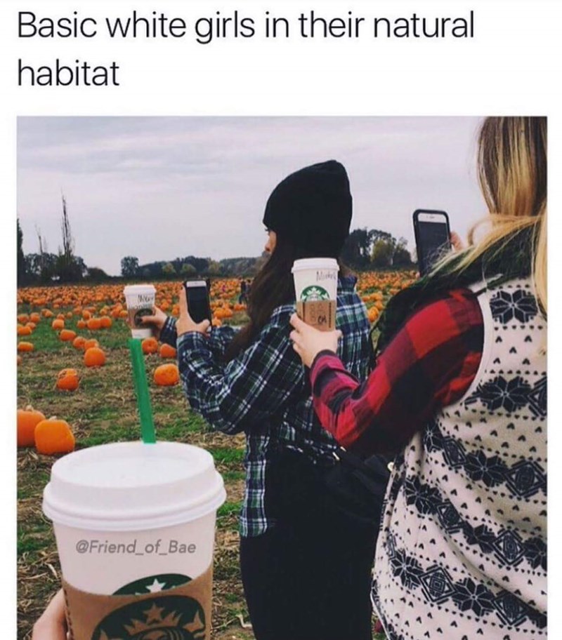 New England White Girl Season Is Almost Upon Us