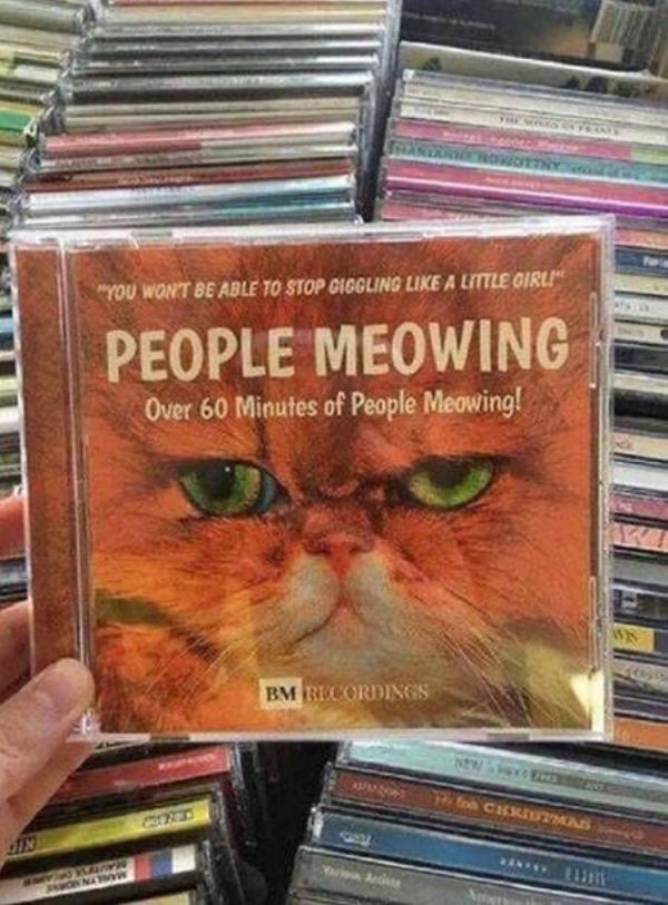 people meowing cd - You Wont Be Able To Stop Diggling A Little Girl" People Meowing Over 60 Minutes of People Meowing! Rm Recordises