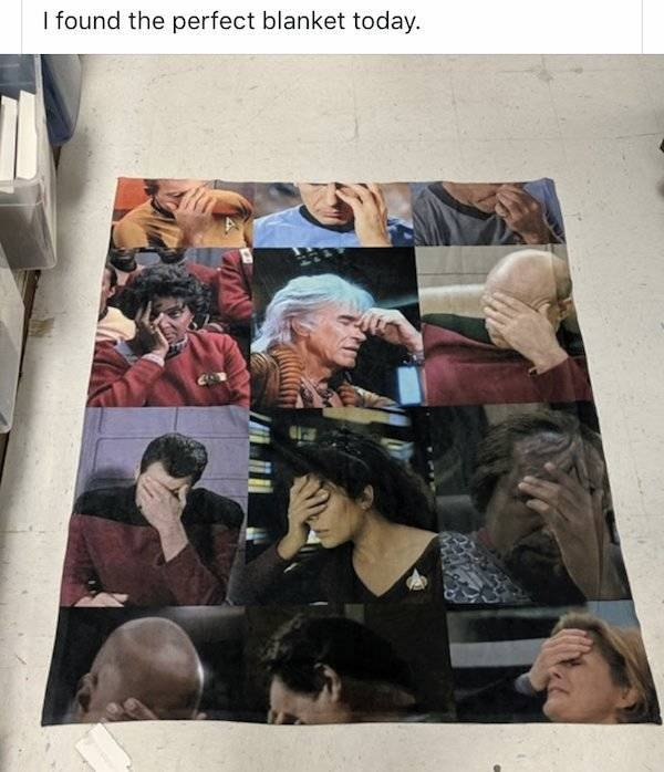 poster - I found the perfect blanket today.
