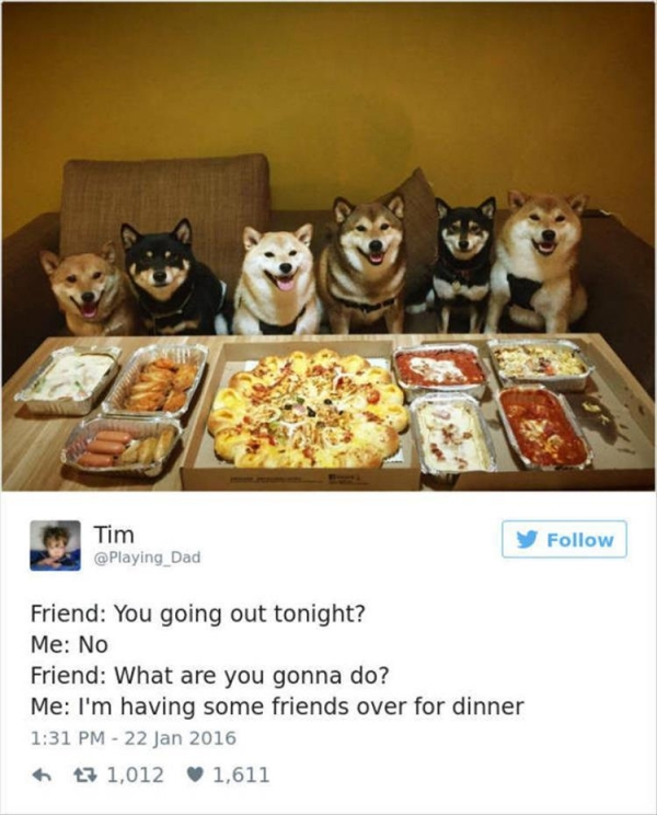 shiba inu family - Tim Friend You going out tonight? Me No Friend What are you gonna do? Me I'm having some friends over for dinner 13 1,012 1,611