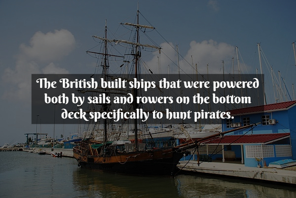 Pirate Facts - water - The British built ships that were powered both by sails and rowers on the bottom deck specifically to hunt pirates.