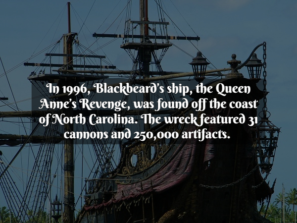 Pirate Facts - queen anne's revenge hawaii - In 1996, Blackbeard's ship, the Queen Anne's Revenge, was found off the coast of North Carolina. The wreck featured 31 cannons and 250,000 artifacts.