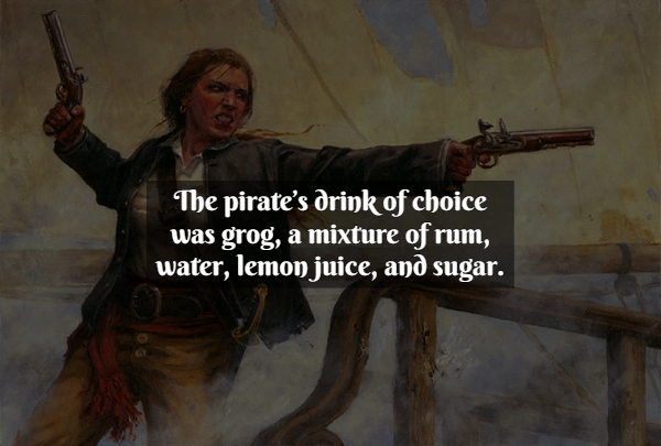 Pirate Facts - anne bonny pirate - The pirate's drink of choice was grog, a mixture of rum, water, lemon juice, and sugar.