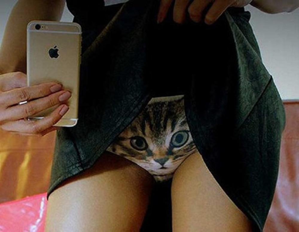 cat on panties