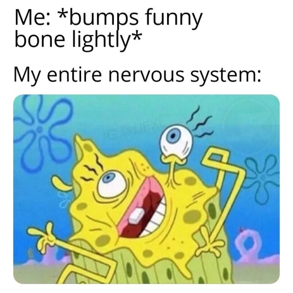 bruh how did you know - Me bumps funny bone lightly My entire nervous system