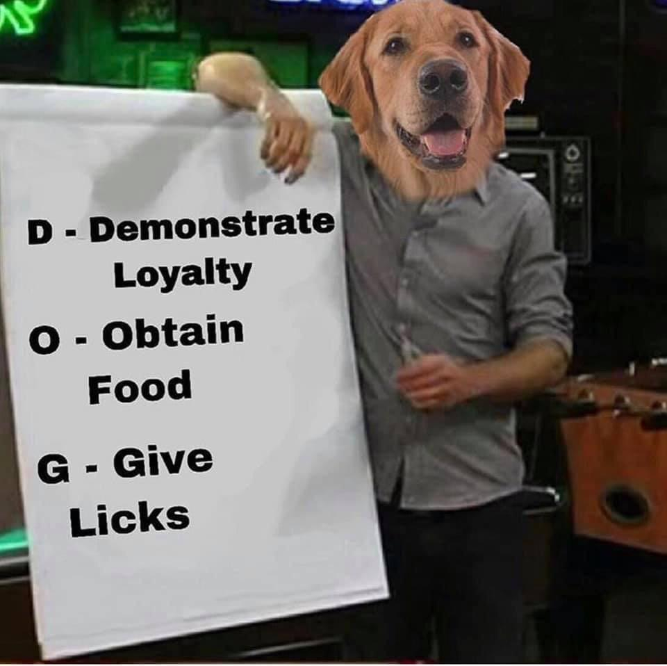 dennis system women - D Demonstrate Loyalty 0 Obtain Food G Give Licks