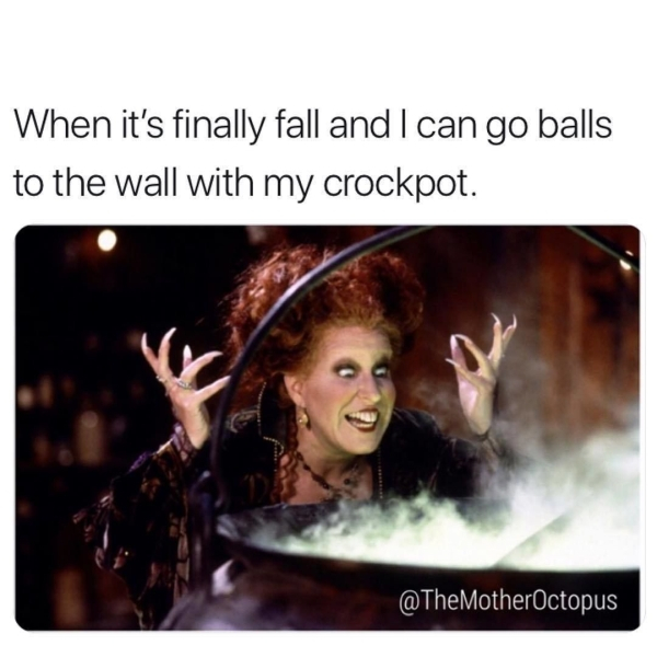 bette midler hocus pocus - When it's finally fall and I can go balls to the wall with my crockpot.