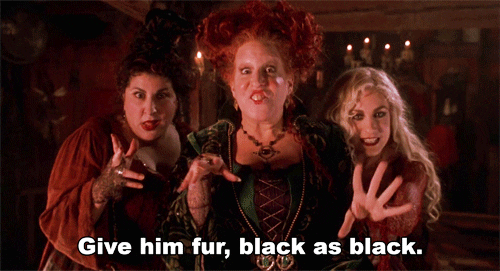 hocus pocus memes - Give him fur, black as black.