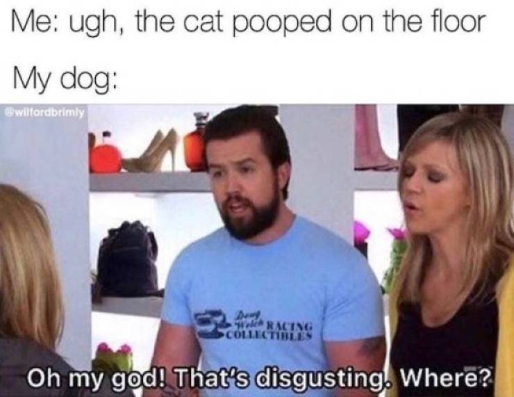 oh my god that's disgusting - Me ugh, the cat pooped on the floor My dog 2 Racing Oh my god! That's disgusting. Where?