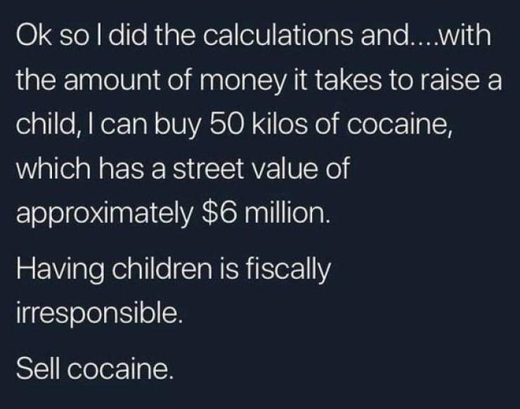 sky - Ok so I did the calculations and....with the amount of money it takes to raise a child, I can buy 50 kilos of cocaine, which has a street value of approximately $6 million. Having children is fiscally irresponsible. Sell cocaine.