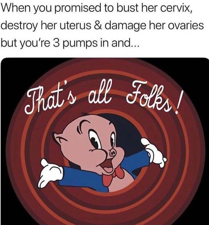 porky pig thats all folks - When you promised to bust her cervix, destroy her uterus & damage her ovaries but you're 3 pumps in and... That's all Folkes