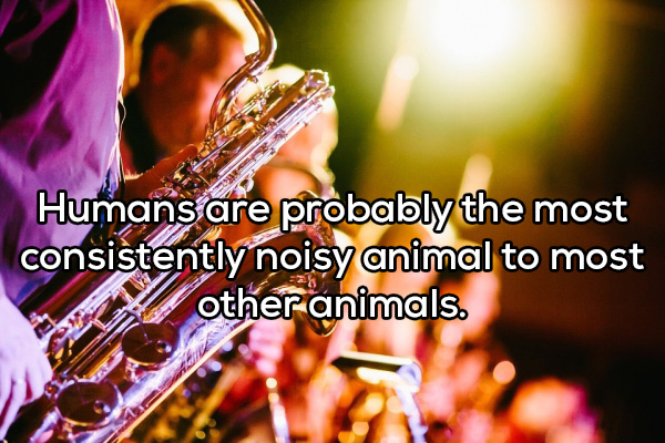 Humans are probably the most consistently noisy animal to most other animals.