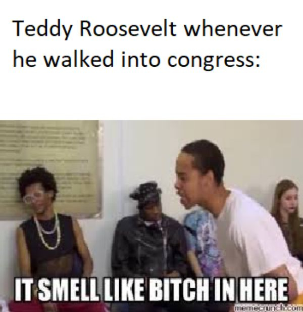 smells like bitch in here memes - Teddy Roosevelt whenever he walked into congress It Smell Bitch In Here menectutch.com
