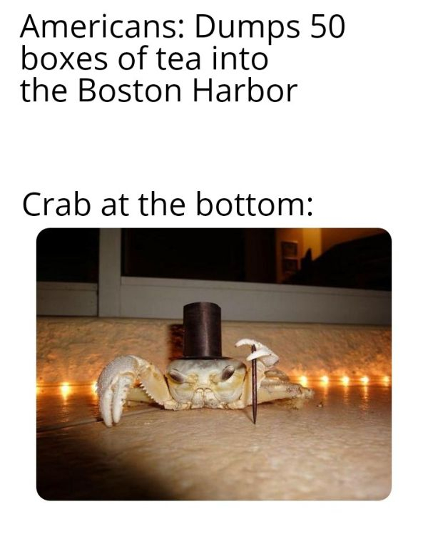 fish pun meme - Americans Dumps 50 boxes of tea into the Boston Harbor Crab at the bottom