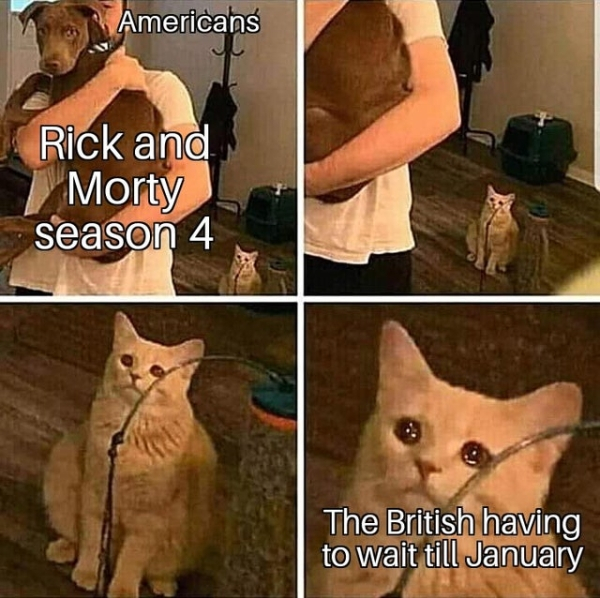 hurts in my meow meow - Americans Rick and Morty season 4 The British having to wait till January