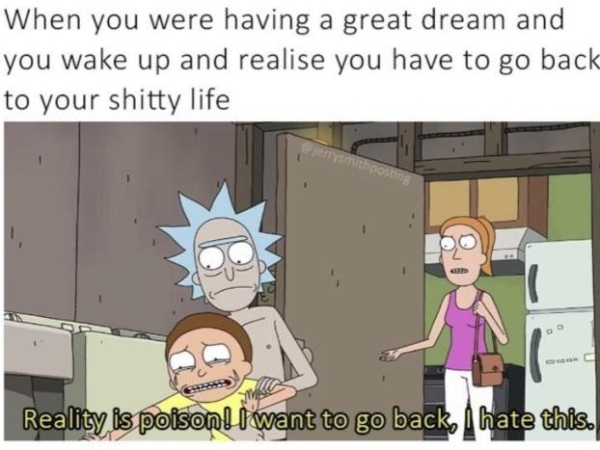 rick and morty true level meme - When you were having a great dream and you wake up and realise you have to go back to your shitty life Reality is poison! I want to go back, I hate this.
