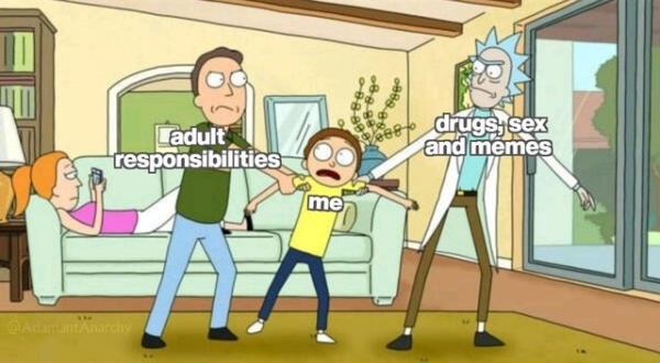 rick rick and morty full body - 888. to adult responsibilities drugs, sex and memes me