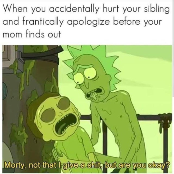 rick and morty season 3 episode 6 - When you accidentally hurt your sibling and frantically apologize before your mom finds out Morty, not that I give a shit, but are you okay?