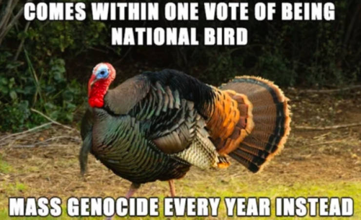 funny thanksgiving memes - Comes Within One Vote Of Being National Bird Mass Genocide Every Year Instead