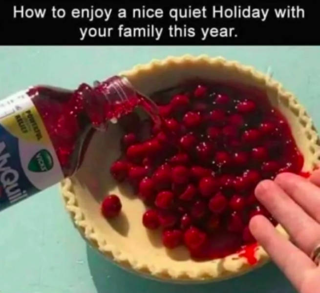 thanksgiving memes - How to enjoy a nice quiet Holiday with your family this year. Qull