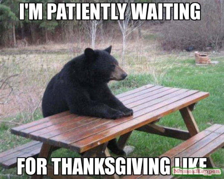 funny thanksgiving memes - I'M Patiently Waiting For Thanksgiving ,