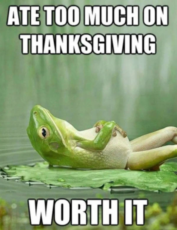 funny thanksgiving memes - Ate Too Much On Thanksgiving Worth It