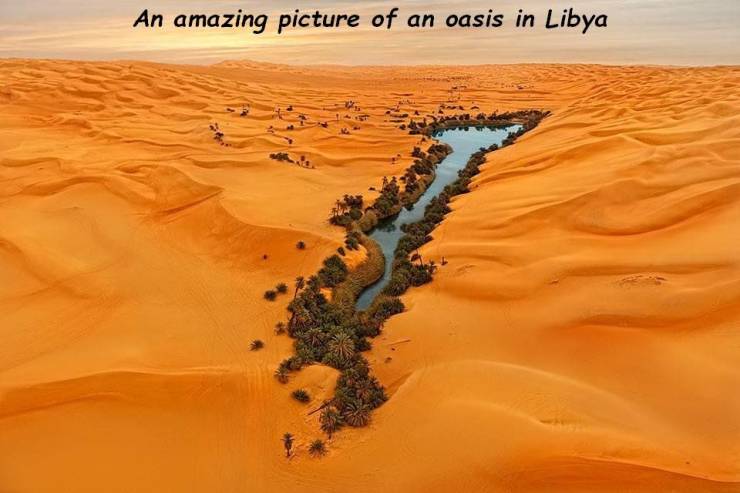 oasis libya - An amazing picture of an oasis in Libya