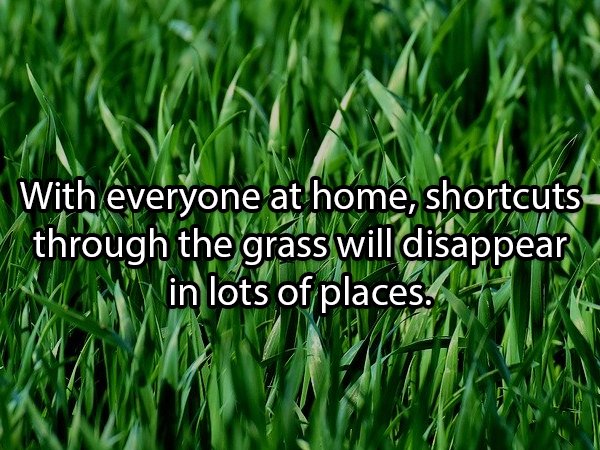 Lawn - With everyone at home, shortcuts through the grass will disappear in lots of places.