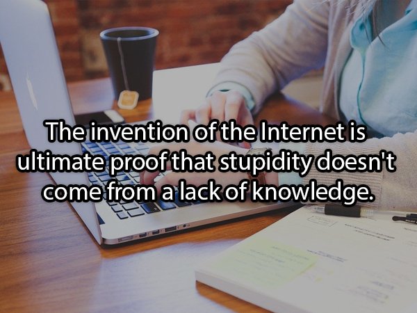 Education - The invention of the Internet is ultimate proof that stupidity doesn't come from a lack of knowledge.