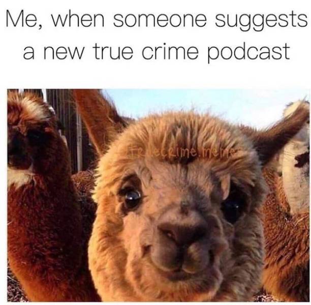 Me, when someone suggests a new true crime podcast Recrime meme