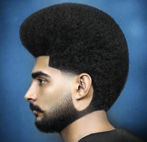 funny pics - afro