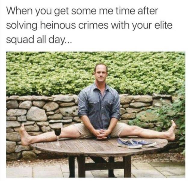 law and order memes - elliot stabler meme - When you get some me time after solving heinous crimes with your elite squad all day... Ipt