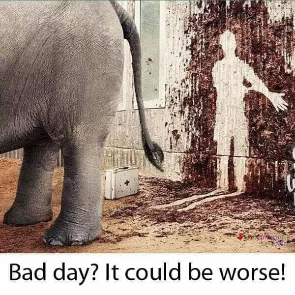 you thought you had a bad day - Bad day? It could be worse!