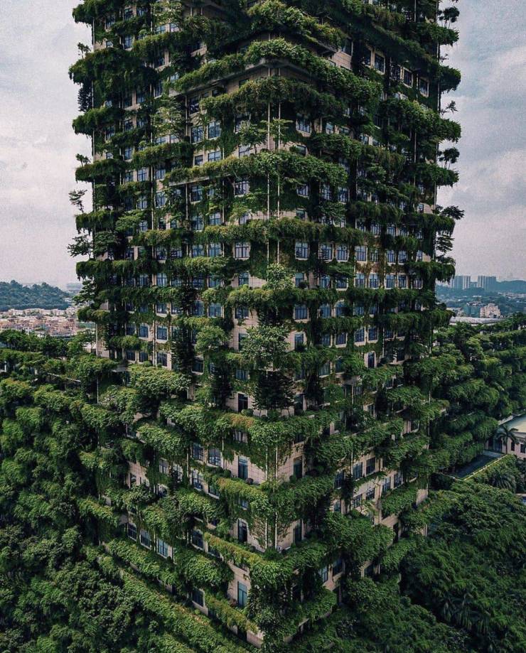foshan china vertical forest