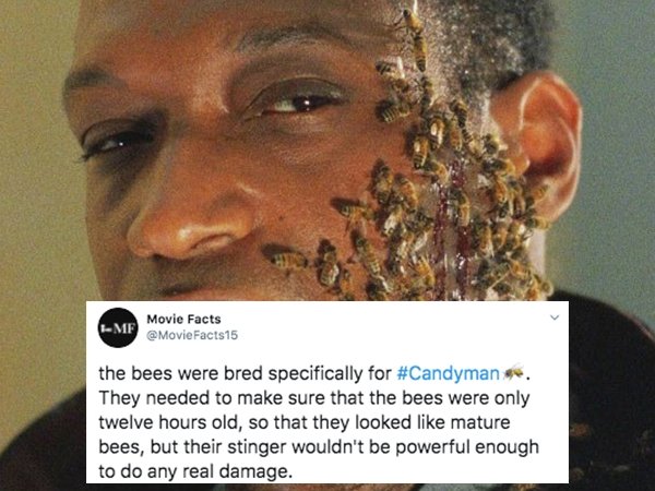 candyman 1992 - EMe Movie Facts the bees were bred specifically for . They needed to make sure that the bees were only twelve hours old, so that they looked mature bees, but their stinger wouldn't be powerful enough to do any real damage.