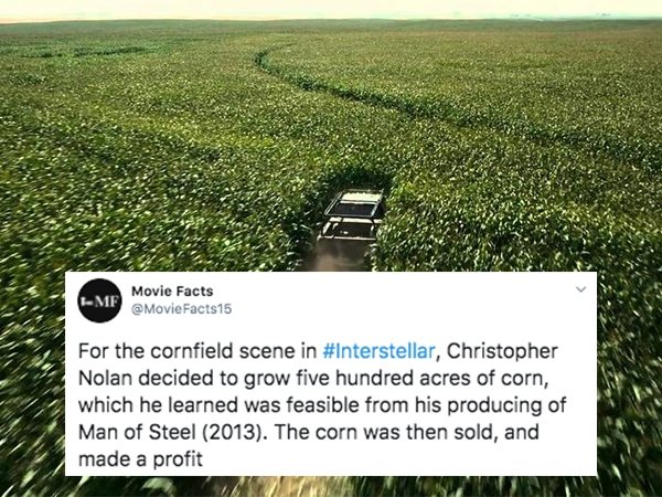 Christopher Nolan - Mf Movie Facts For the cornfield scene in , Christopher Nolan decided to grow five hundred acres of corn, which he learned was feasible from his producing of Man of Steel 2013. The corn was then sold, and made a profit
