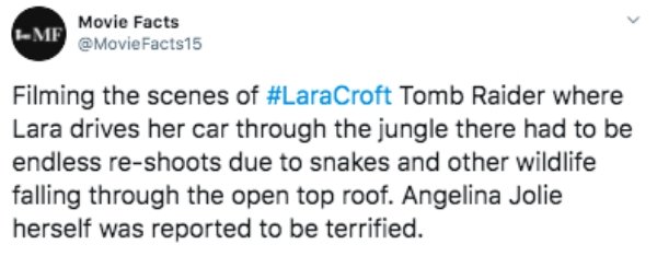 megan thee stallion cardi tweets - Me Movie Facts Filming the scenes of Tomb Raider where Lara drives her car through the jungle there had to be endless reshoots due to snakes and other wildlife falling through the open top roof. Angelina Jolie herself wa