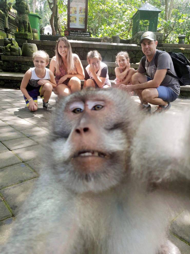 monkey taking selfie - Be
