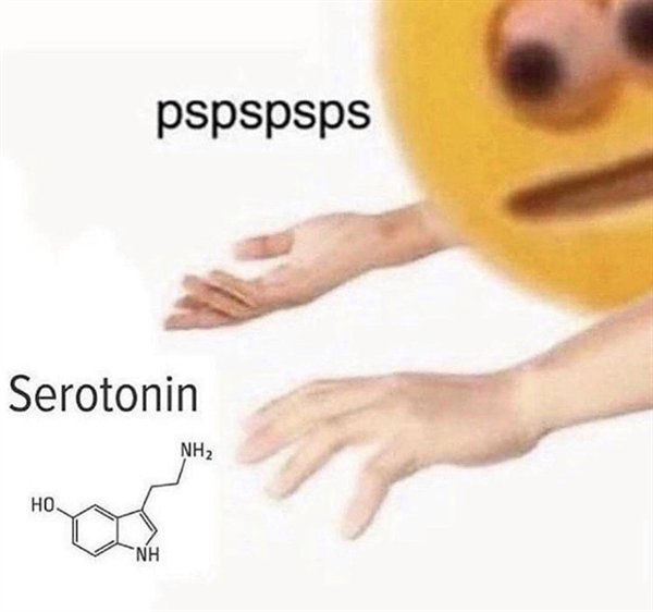 pspspsps cat - sdsdsdsd Serotonin NH2 Ho Nh