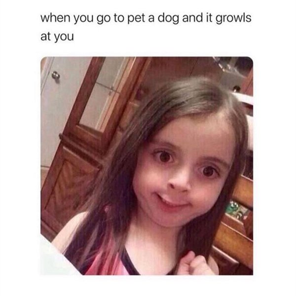 you go to pet a dog - when you go to pet a dog and it growls at you