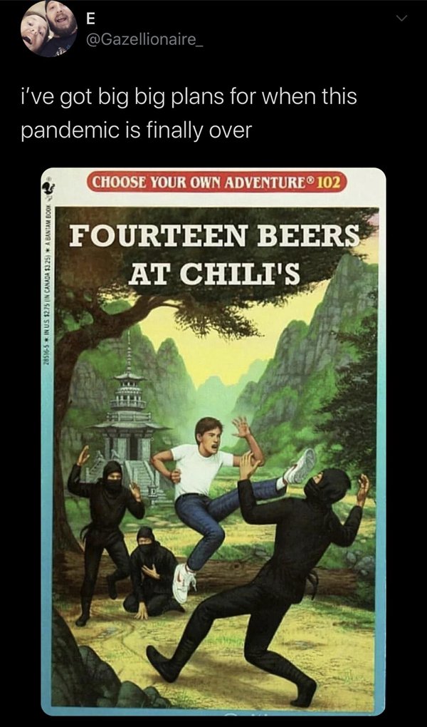 choose your own adventure cover art - E i've got big big plans for when this pandemic is finally over Choose Your Own Adventure 102 Fourteen Beers At Chili'S Ni Szi Soni Srl