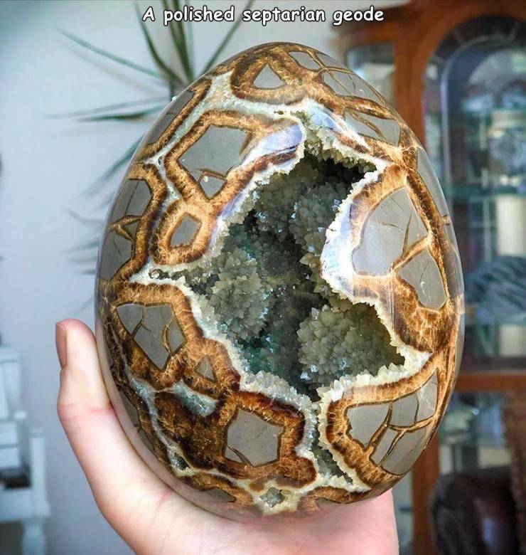 funny random pics - stone dragon egg geology - A polished septarian geode