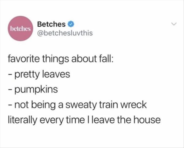 favorite things about fall pretty leaves pumpkins not being a sweaty train wreck literally every time I leave the house
