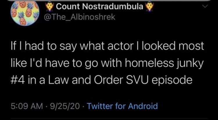 If I had to say what actor I looked most I'd have to go with homeless junky in a Law and Order Svu episode .